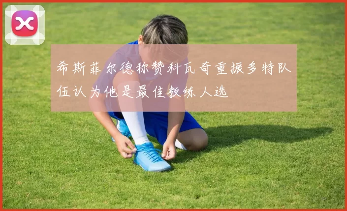 希斯菲尔德称赞科瓦奇重振多特队伍认为他是最佳教练人选