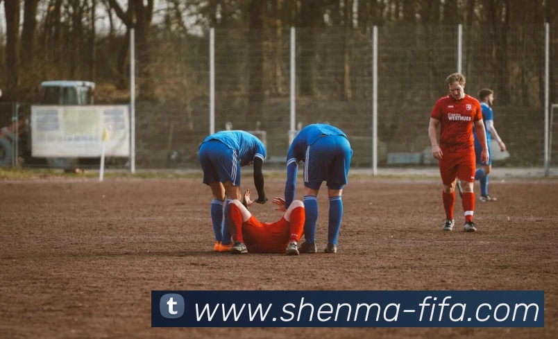 多媒体互动体验